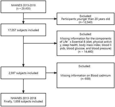 Investigating how blood cadmium levels influence cardiovascular health scores across sexes and dose responses